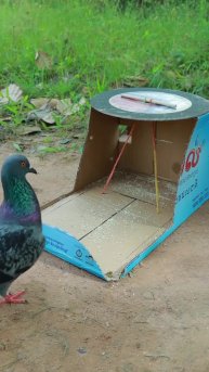 Подпишись 👉 https://vk.com/ykrasheniy_iz_kamny