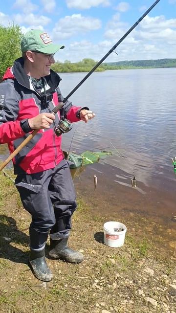 Рыбалка на донки