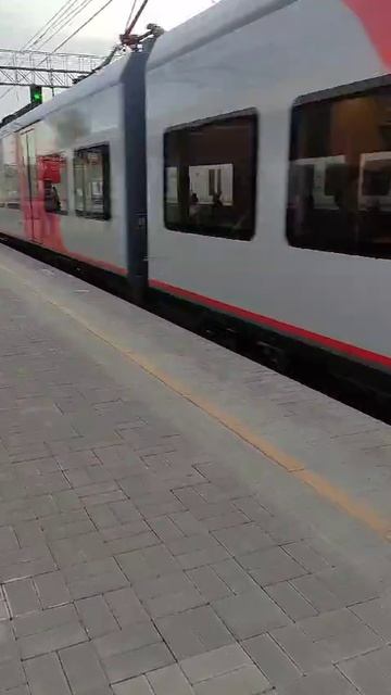 Ласточка на станции Голицыно.