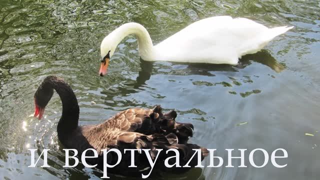 Хочу с тобой