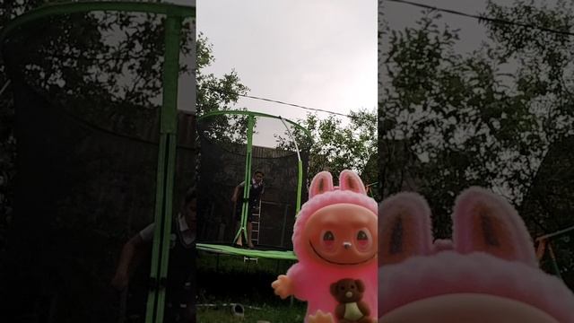 1000003144.mp4