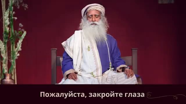 Направленная медитация с Садхгуру для успеха — Чит Шакти