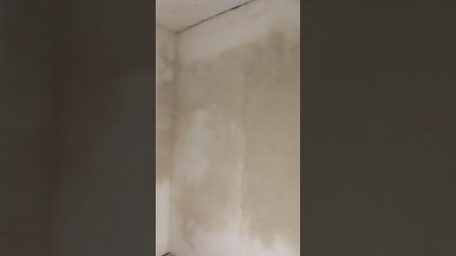 1000020882.mp4