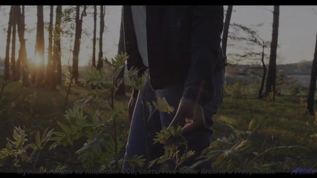 Музыка, которая нарушает законы физики - как это возможно - Starbound -- Kirk Osamayo -- Season Two