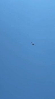 В сети распространяется видео, якобы пролёта бомбардировщика B2 Spirit над Израилем…🔽🔽🔽