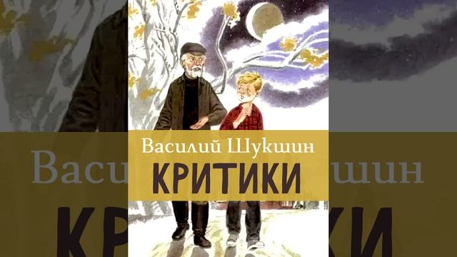 Критики. Рассказ Василия Шукшина. Краткий пересказ.