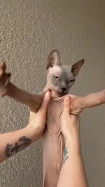 Сладкие потягушки😄👍