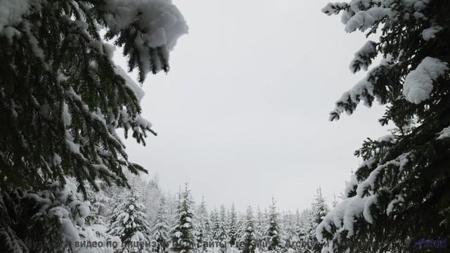 Звук заставляет дышать глубже на каждом кадре - Holding On To Yesterday -- Tadz -- Soul Symphonies V
