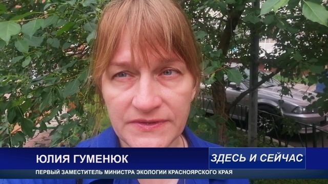 СВАЛКУ ЛИКВИДИРУЮТ