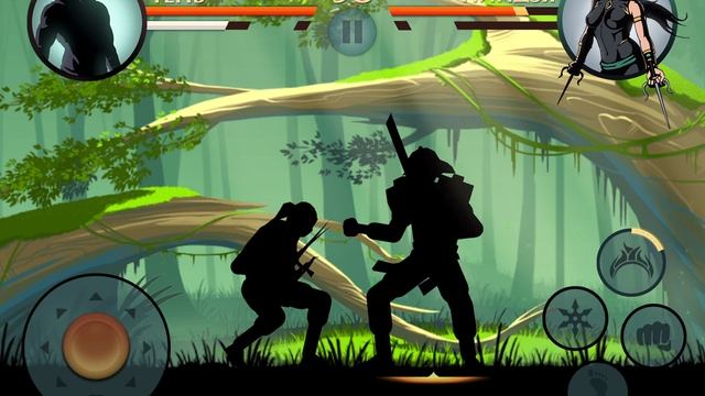 Летний Бой в Shadow Fight 2 № 255