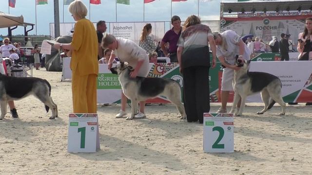 Класс чемпионов