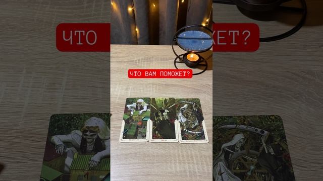 #таро