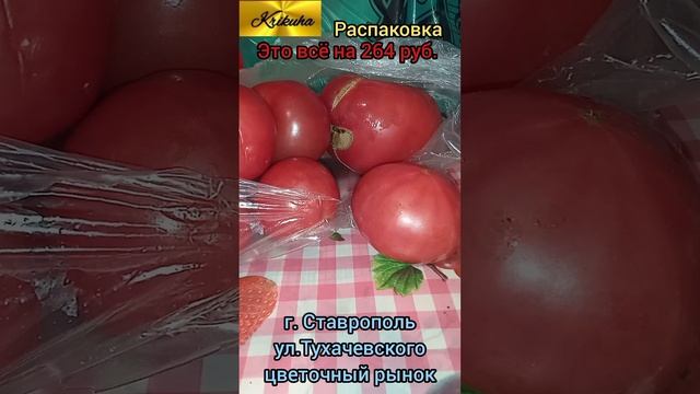 Влог. Закупилась по дешёвке.
