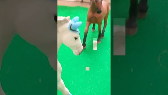 2 сезон. 2 серия