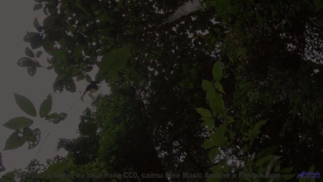 Мелодия для тех, кто целуется на пароме под крики чаек - I Will Leave You Too -- Steve Combs -- Jaw