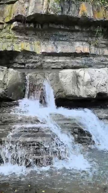 VID-20250617-WA0031