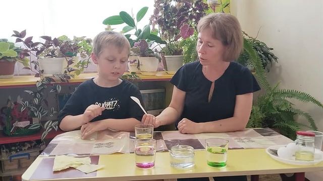 Опытно-экспериментальная деятельность с дошкольниками "Свойства воды - плотность"