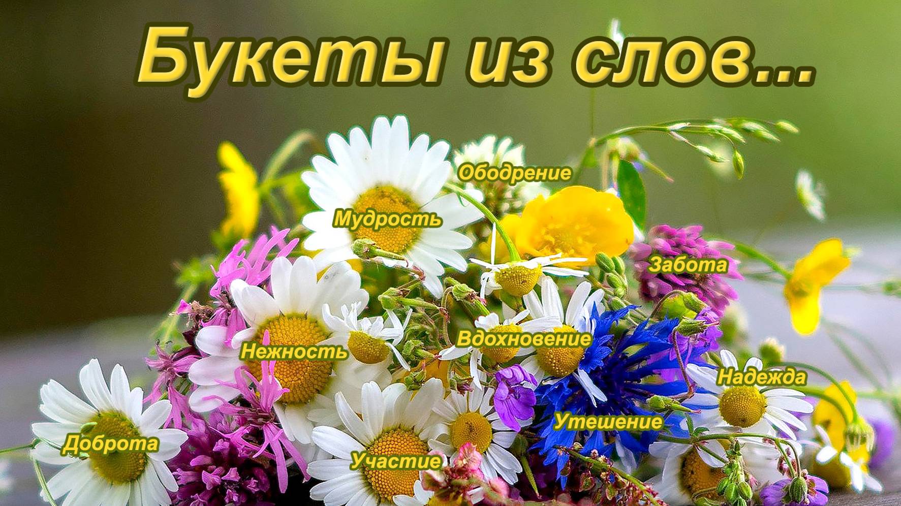 Песня "Слова", исп. Шинкарева Светлана, "Словно травы,шелестят слова.."