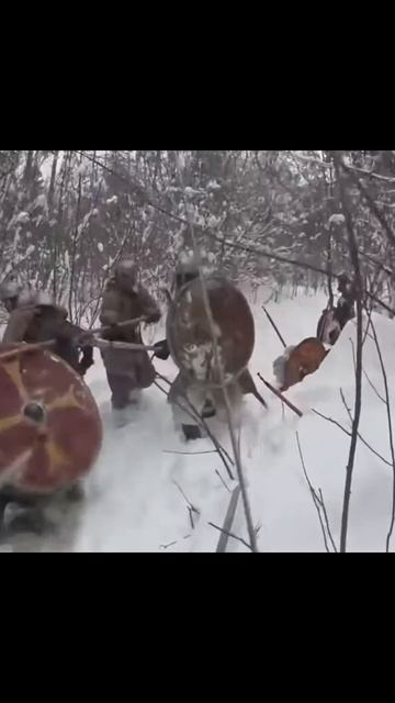 Пов: ты викинг