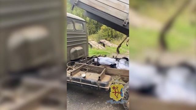 Троих жителей Кировской области осудят за незаконную добычу лосей, серию краж пчелиных ульев и мёда