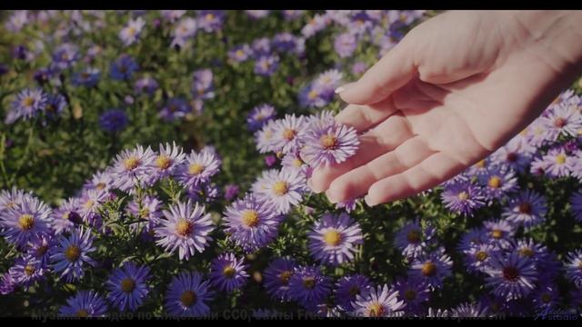 Видео, которое можно смотреть только в состоянии медитации - попробуйте! - Tell Me You Know -- Eyeli
