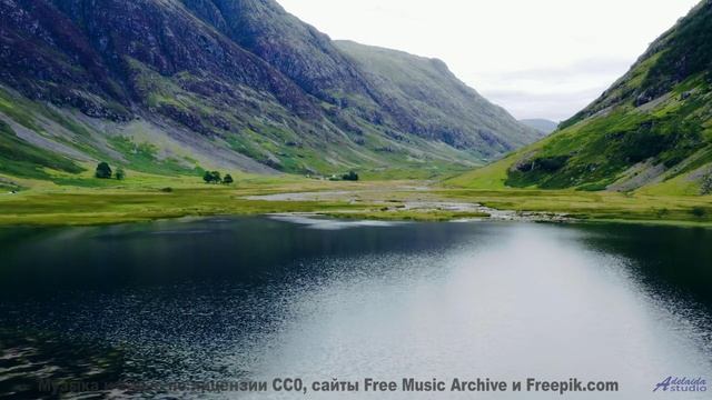 Песня, от которой по коже бегут мурашки страсти... - Crumb -- New Millennium String Band -- NMSB