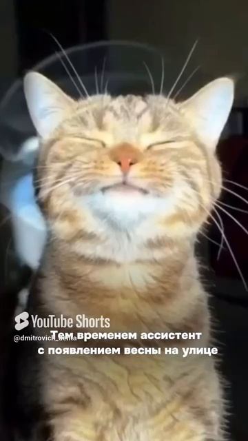 Весенний вайб и стоматологический драйв