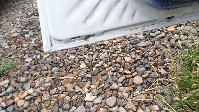 1000639990.mp4