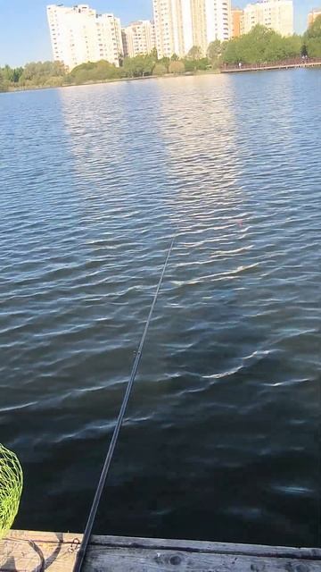 Помогите добить 50  #fishing #рыбалканаозере #медитация