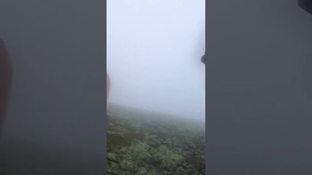 Storm in the Visher Nature Reserve. July 3rd, 2017. Live 6