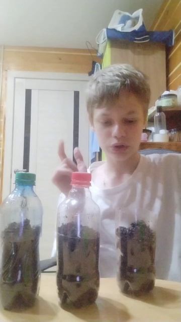 scene_output.mp4