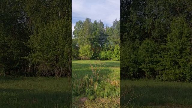 ДАЧА в Большом Хлыново