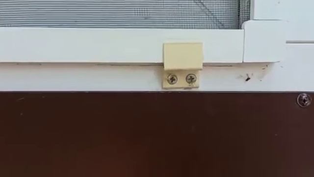 Замер москитной сетки 2