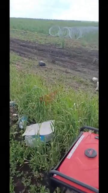 Любят бандеры погибать, им только дай повод и колеса