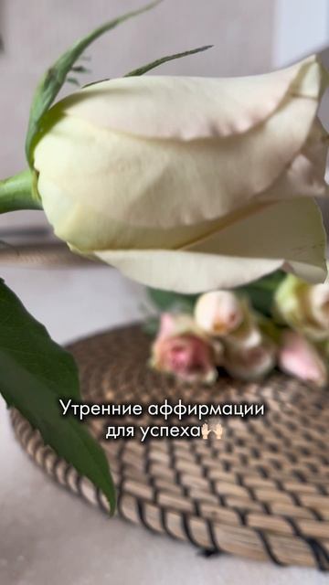 Медитация: «Этот новый день, наполненный энергией и возможностями для меня».