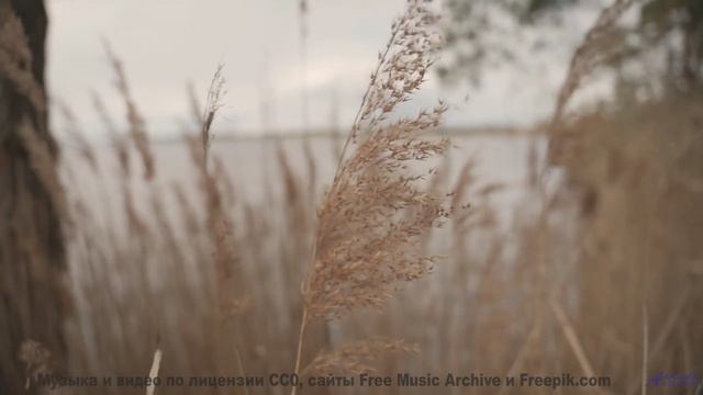 Саунд проникает в душу быстрее любого ветра - Bed4 -- Ketsa -- Bedding