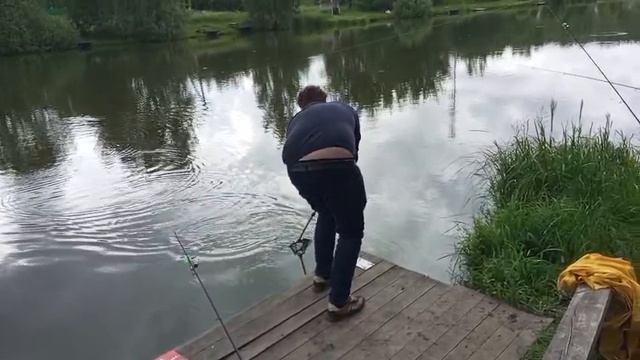 Светлые Горы Линь2 18.06.2025г.