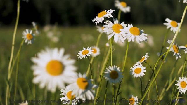 Музыка качает внутри, как буря качает облака - Hope And Belief 2 -- Kirk Osamayo -- Season Two (YELL