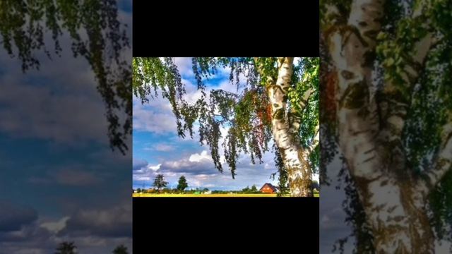что