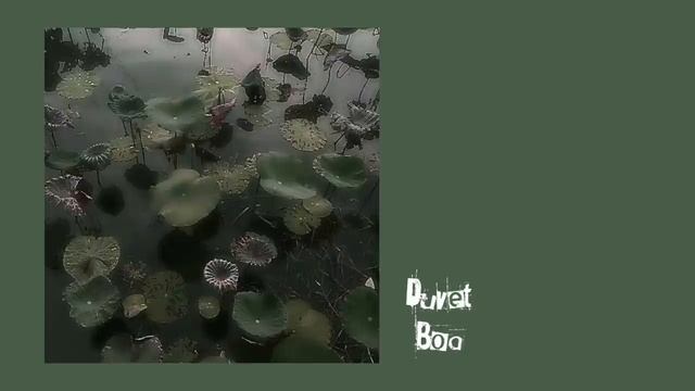 ФОНКИ ЛУЧШИЕ 
☆・ fairy grunge playlist ・☆ (1)