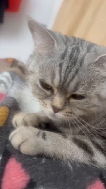 Мужик за женщиной означает каблук 😀