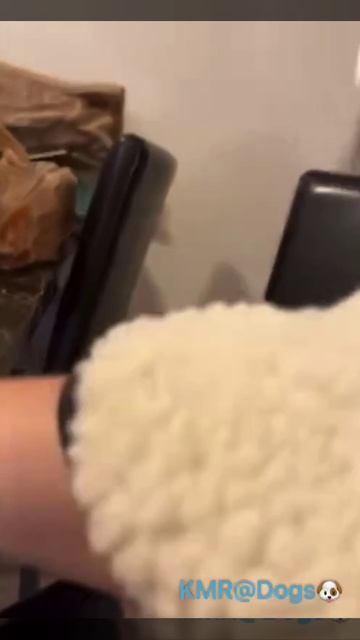 Папа начинает ремонт квартиры, на стройке важна безопасность🔨🪖😂