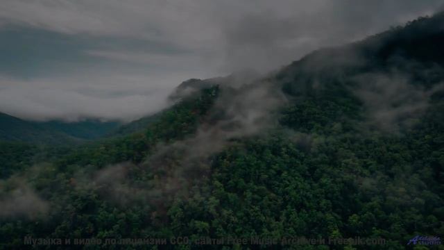 Ноты гладят душу так же мягко, как ветер траву - Anons -- Ketsa -- The Calling