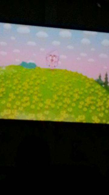 VID_20250618_144627.mp4
