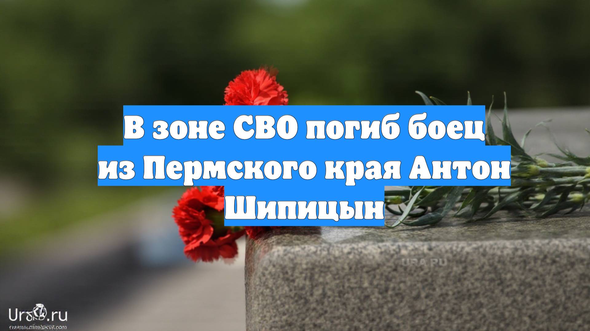 В зоне СВО погиб боец из Пермского края Антон Шипицын