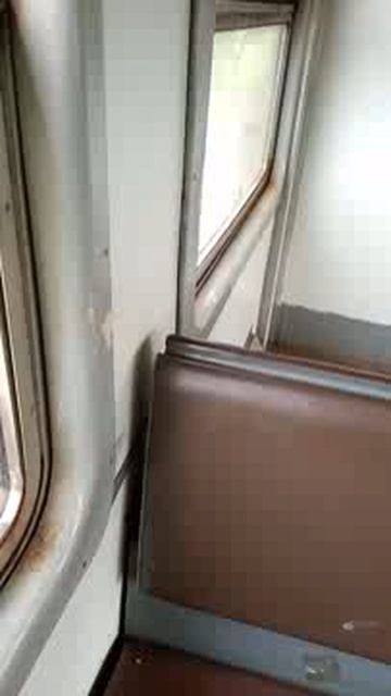 травля