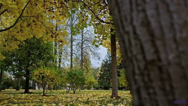 Музыка, от которой ВЗРЫВАЕТСЯ голова! - Guilt And Regret -- Kirk Osamayo -- Season Two (YELLOW)