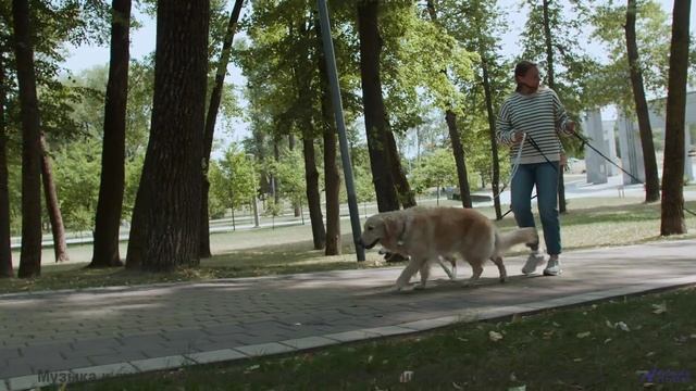 Почему этот клип вызывает непреодолимую тягу к путешествиям - Everything is Paradox -- Julia Felix -