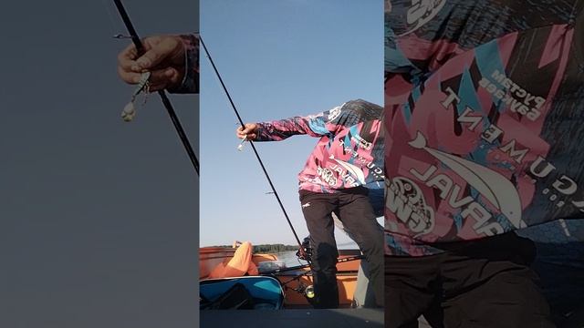 Окунуться в окуня