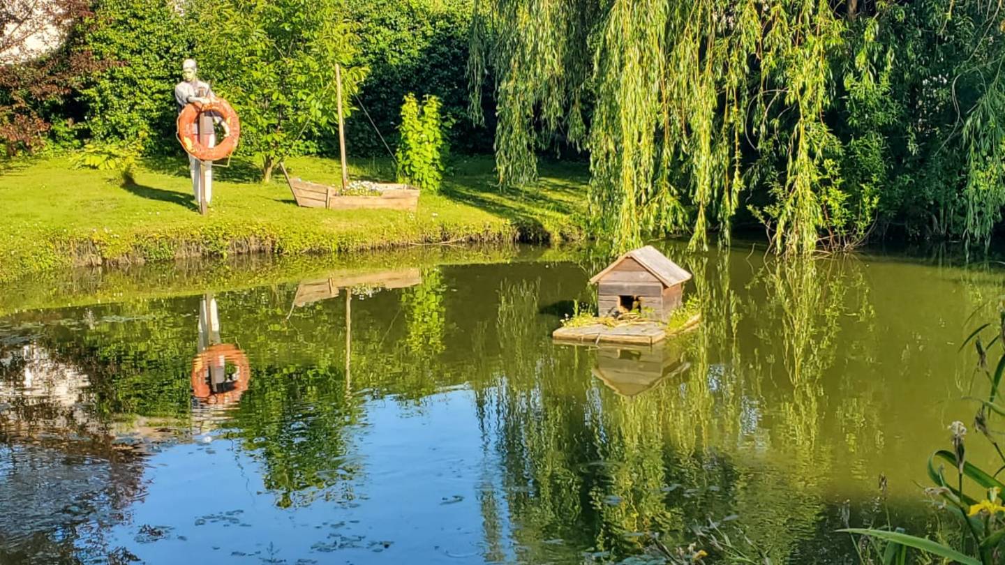 Сказочный дом. Утро🌞15 июня 2025 года, Балтийск.🕊️Птицы начинают петь очень рано, в 3 часа утра.☀